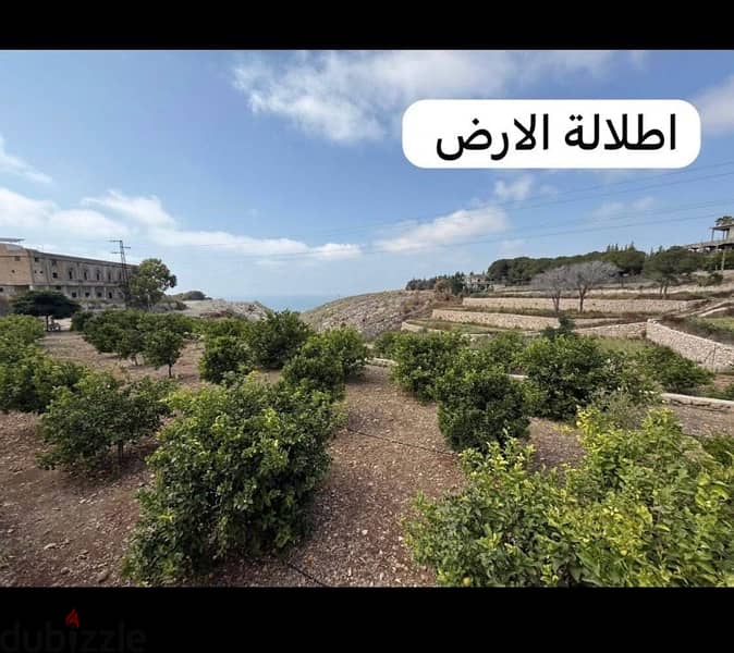 Land for sale 3291 m Ansarie / Saida 2