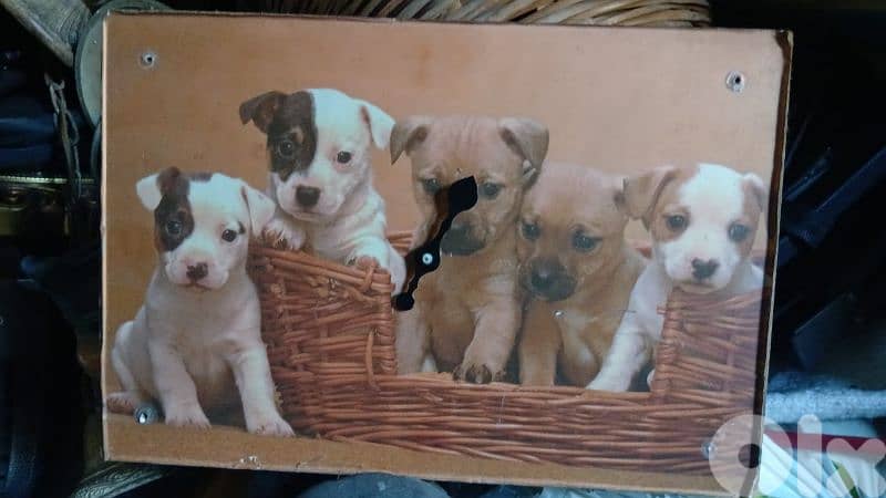 ساعه الاوفياء 0