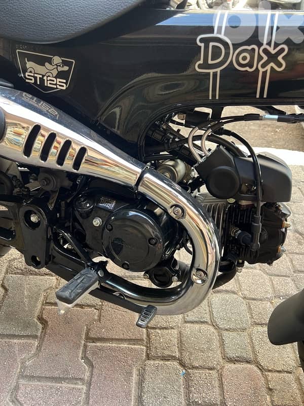 Honda Dax 125 cc okm 2025 4250$ 13