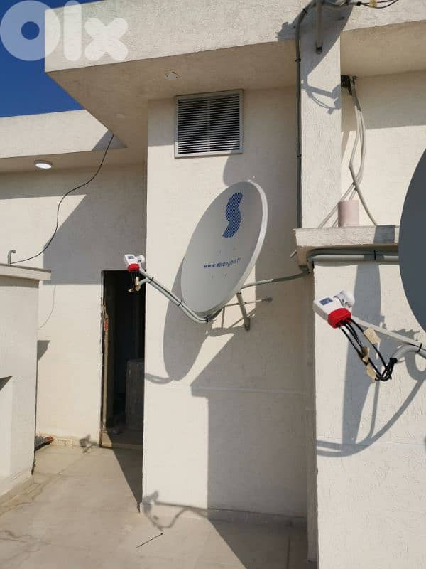 bob satellite 5