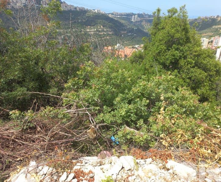 Land for Sale in Monteverde – Beit Merry 0