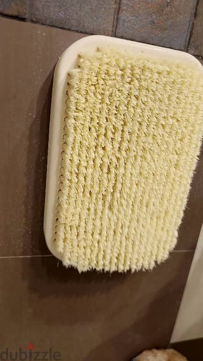 ليفة ظهر وعلبة لحفظ فرسان الأسنان