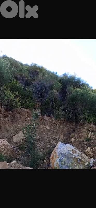 أرض للبيع في كفرعميه الشوفland for sale in krarmay shouf