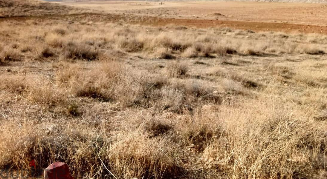Land for Sale in Bchelli – Jbeil 0