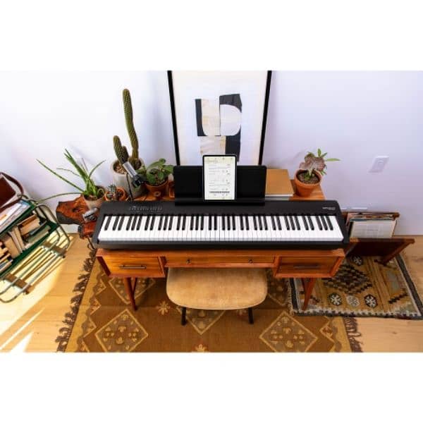 Roland fp-30x portable digital (electric) piano 2