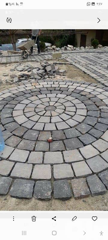 عكار حنيدر 6