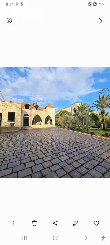 عكار حنيدر 7