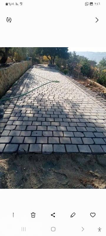 عكار حنيدر 8