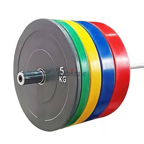 Bumper plate 1kg for 3,25 0
