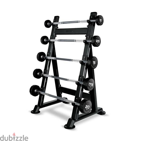 weighted barbell 1