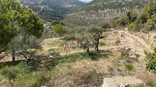 Land for sale in Nehla-Batroun أرض للبيع في نحلا - البترون