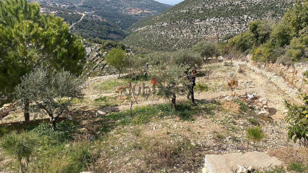 Land for sale in Nehla-Batroun أرض للبيع في نحلا - البترون 0