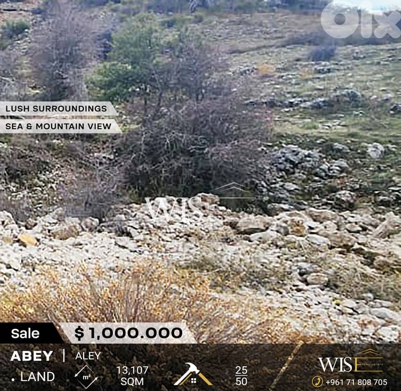 Prime 13,107 SQM Land for SALE in Abey - Aley ! 0