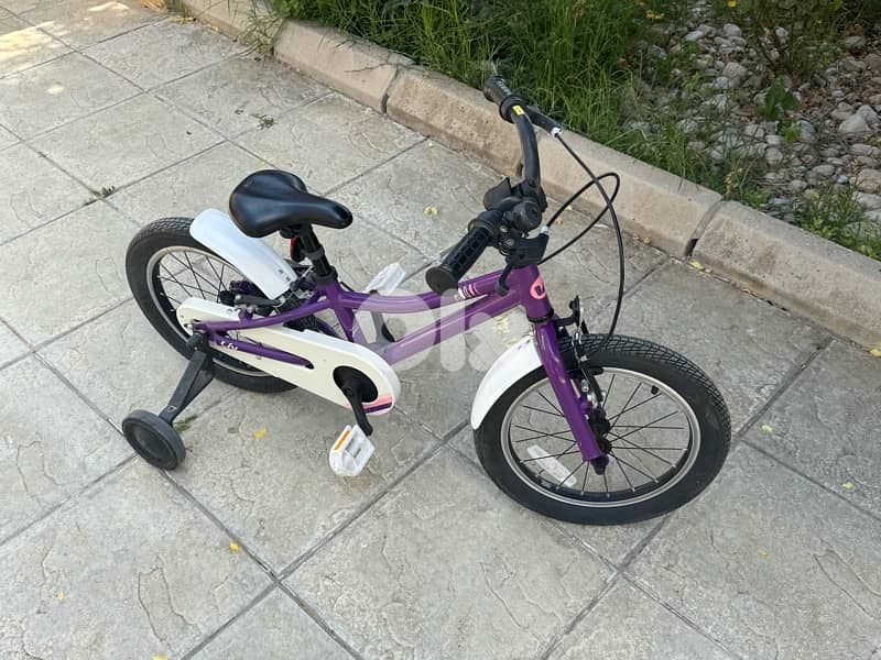 Giant bike 12 inch 1