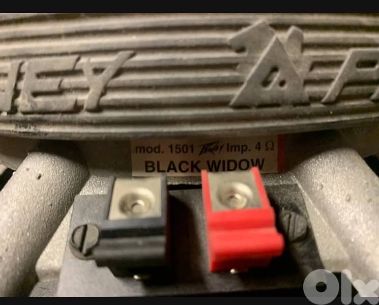 Peavey Black Widow Speaker 1