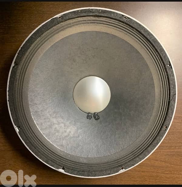 Peavey Black Widow Speaker 2