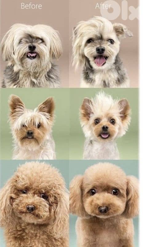 LIFEGOODS professional hair clipper for pets / 4$ delivery 4