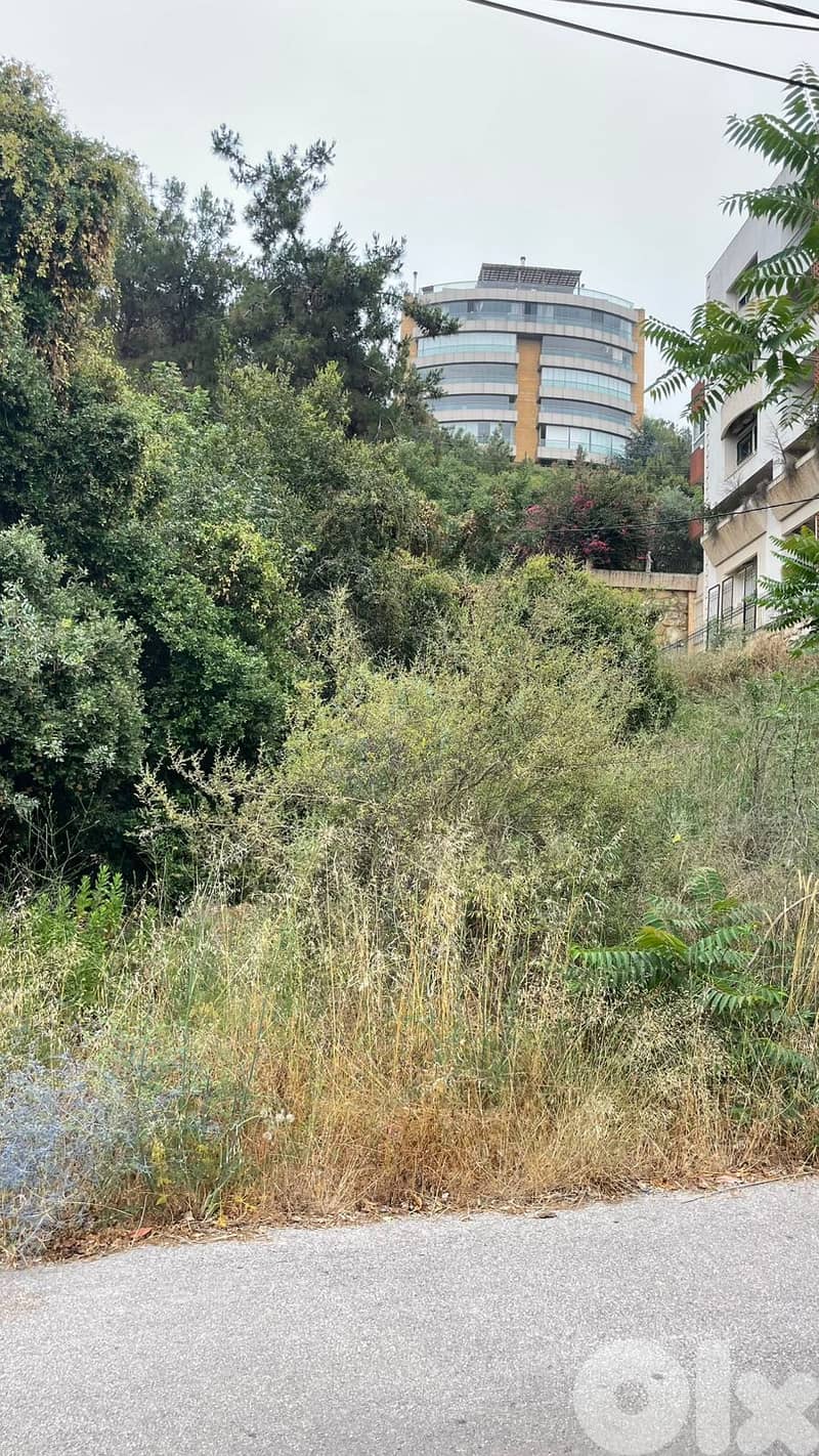 Land for sale in Ain Saadeh  أرض للبيع في عين سعادة 2