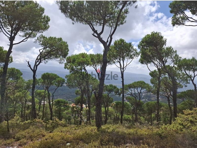 1000m2 Land in Bickfaya ,Metn(talet tamraz) 0