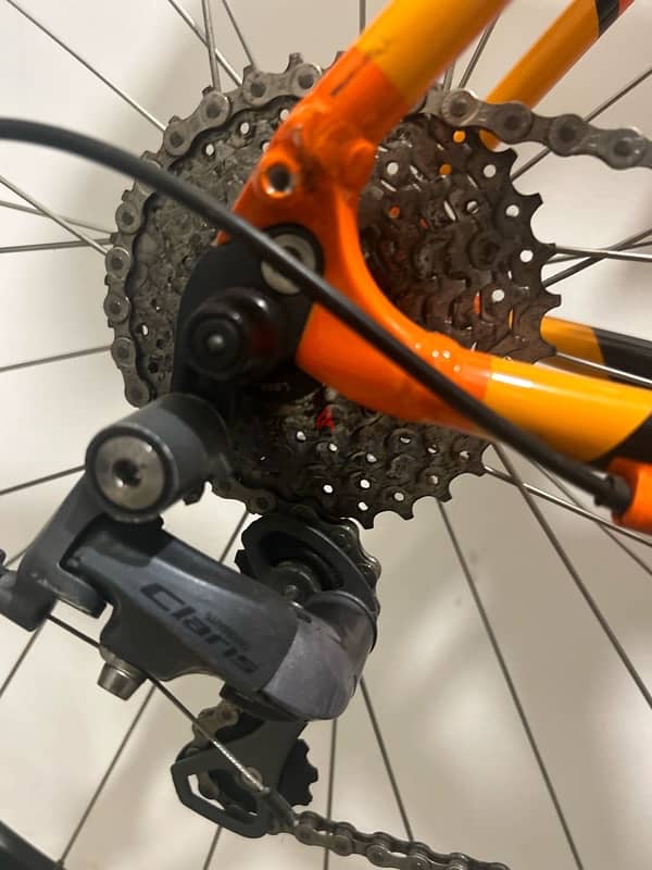 Spesialized Road Bike 2