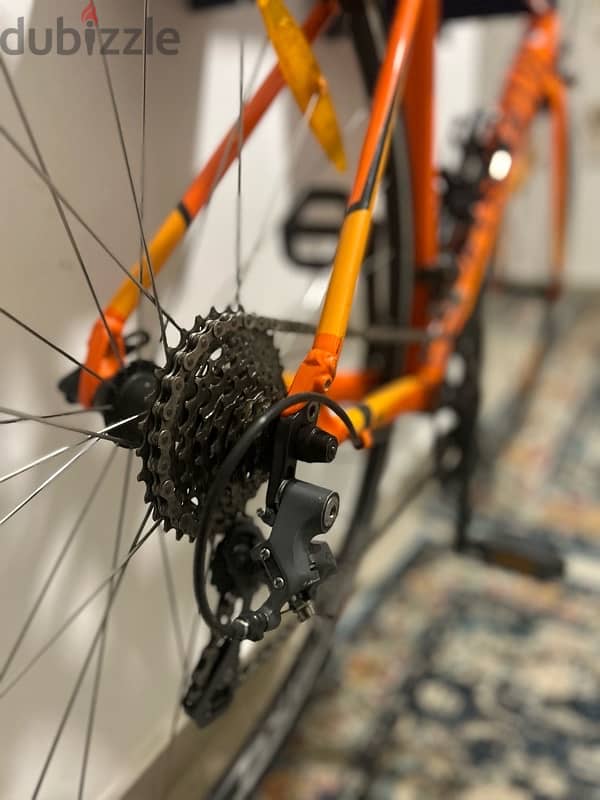 Spesialized Road Bike 4