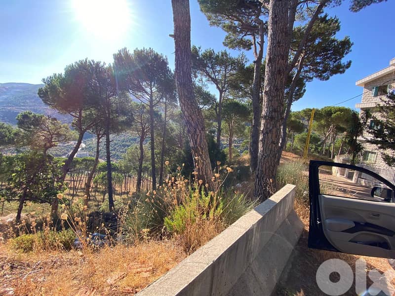 khenchara land with pine trees, prime location for sale #4631 1