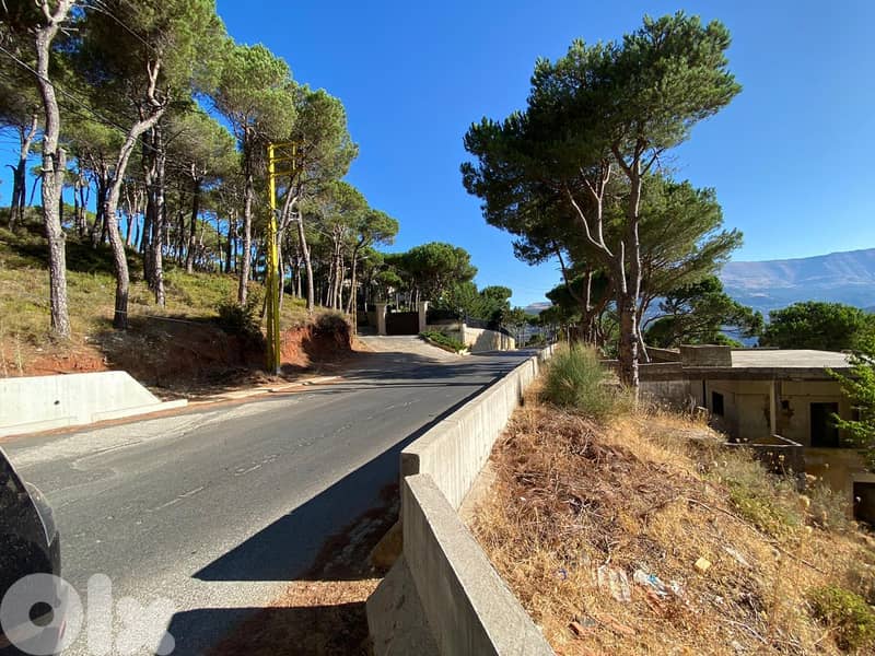 khenchara land with pine trees, prime location for sale #4631 0