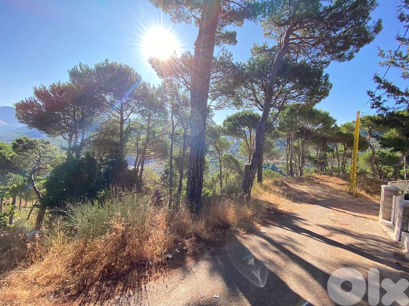 khenchara land with pine trees, prime location for sale #4631 2