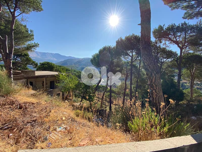 khenchara land with pine trees, prime location for sale #4631 3