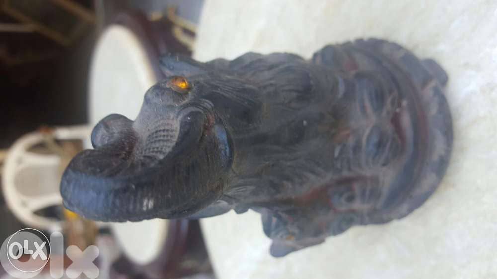 تحفة فيل قديم 1