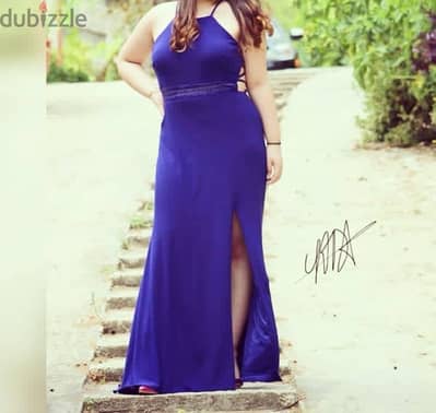 Elegant Sexy Prom Dress / Evening Dress