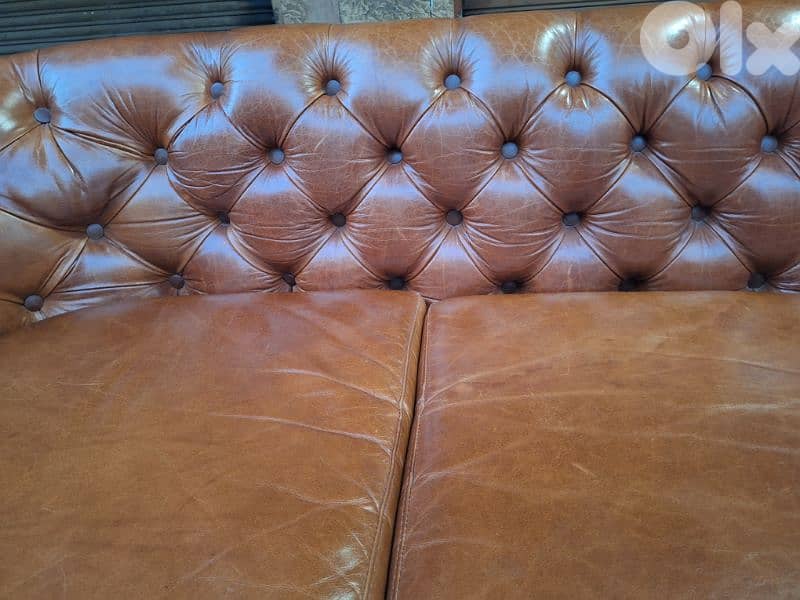 salon chesterfield genuine leather buffalo original England 5