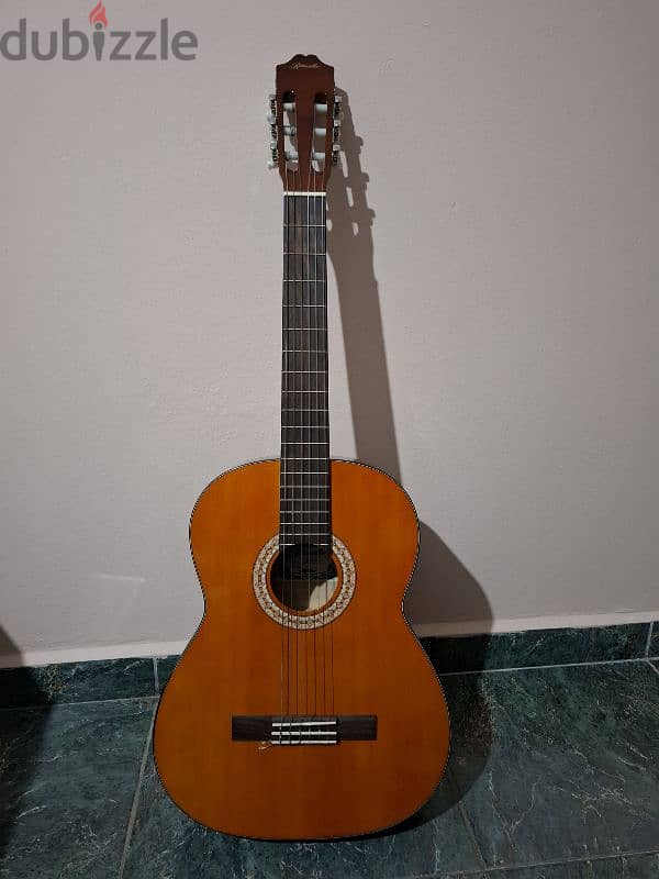 Ritmuller LC_18 guitar 2