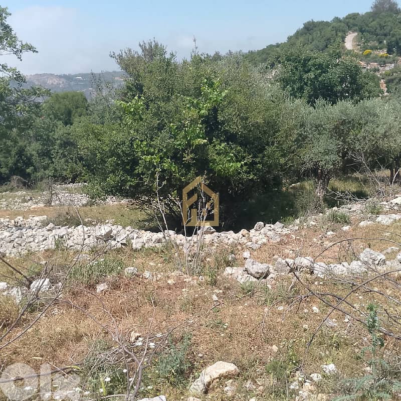 Land for sale in Zeaitre RK175 أرض للبيع في زعيتره 1