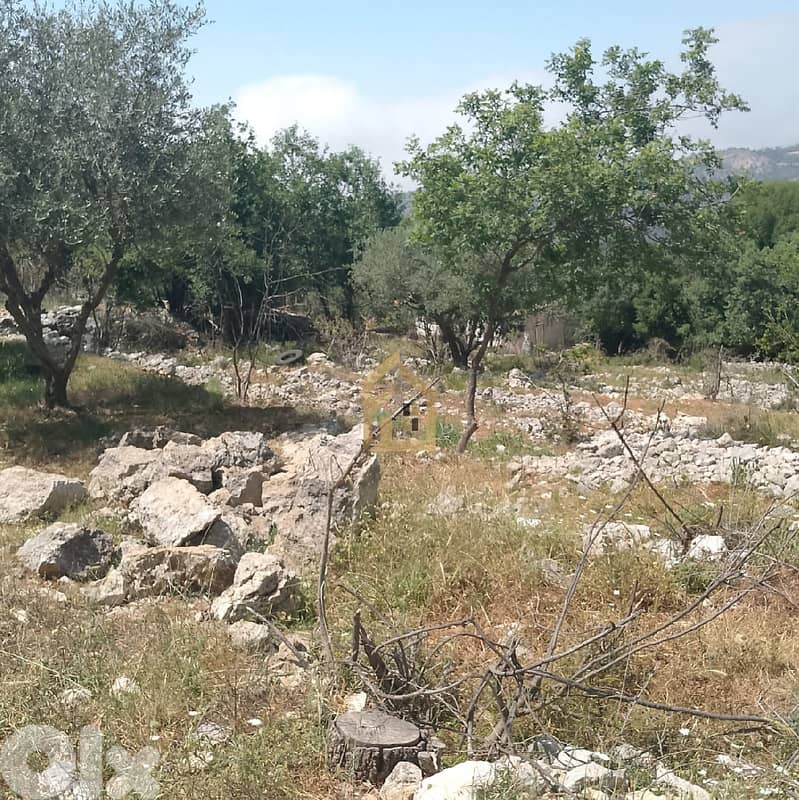 Land for sale in Zeaitre RK175 أرض للبيع في زعيتره 2