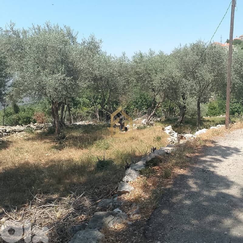 Land for sale in Zeaitre RK175 أرض للبيع في زعيتره 3
