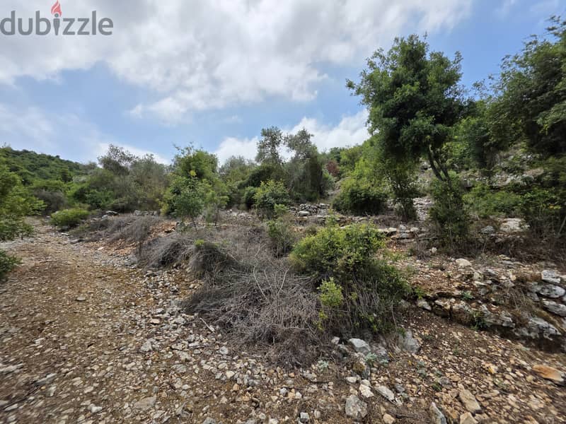 LAND FOR SALE IN BOXMAYA-BATROUN  2,525 SQM FOR 88.000$ 1