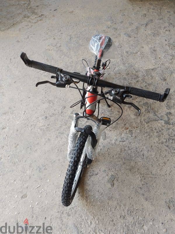20 inch mountain bike 1