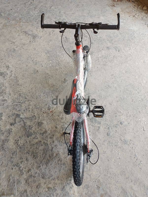 20 inch mountain bike 2