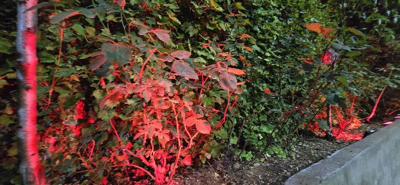 showroom in kaslik prime location 400m for 2500$ 0