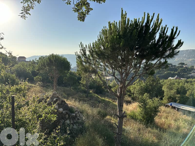 1450m land zone 25/50 Hamlin Hospital Chbaniyah Hammana 4