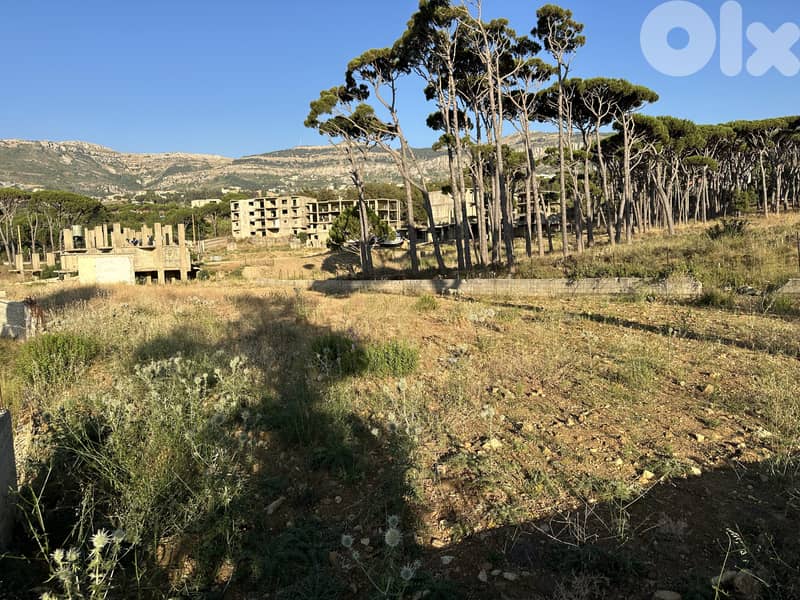 1450m land zone 25/50 Hamlin Hospital Chbaniyah Hammana 5