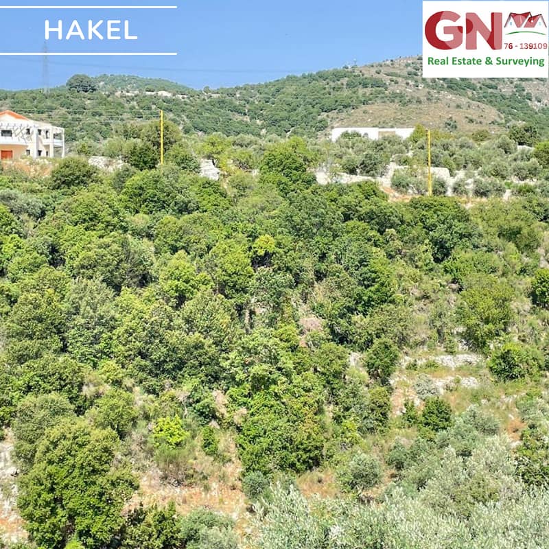 Land for sale in Haqel - Jbeil  أرض للبيع في حاقل - جبيل 1