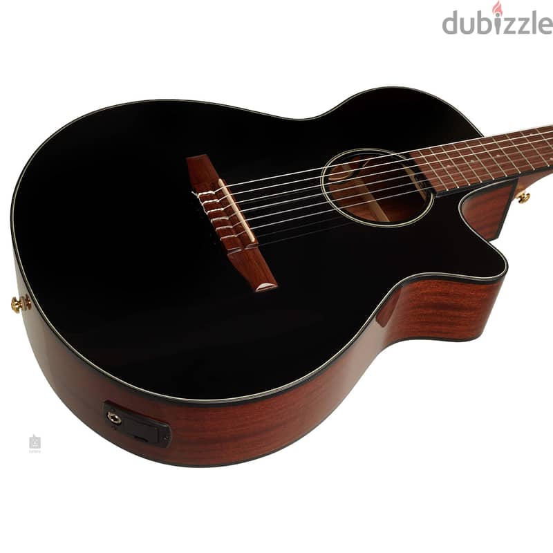 Ibanez AEG50N Acoustic-Electric Guitar - Black High Gloss 1