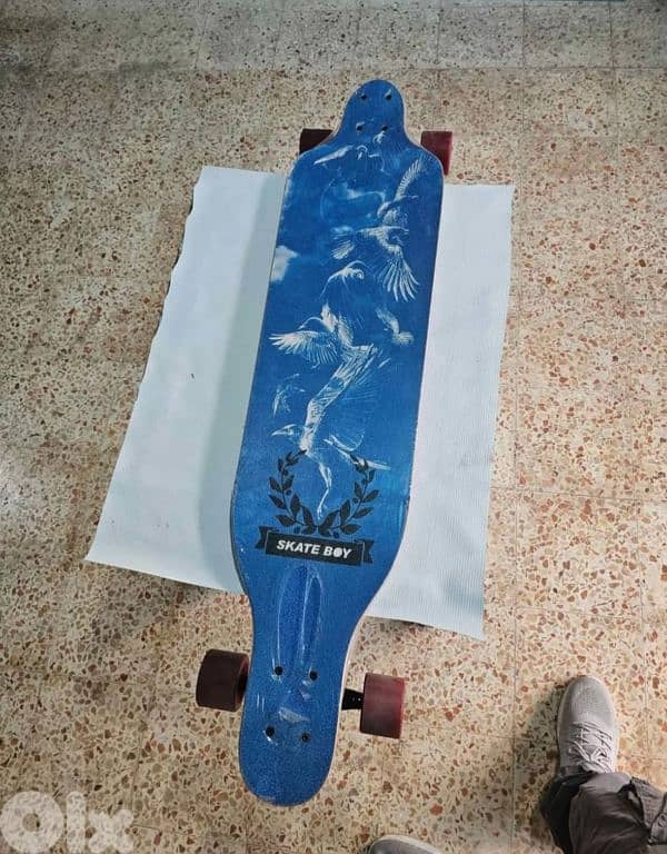 longboard skateboard 1