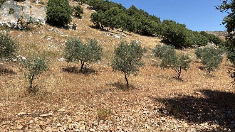 أرض للبيع في راشيا كوكبا land for sale in rashaya kwkaba 0