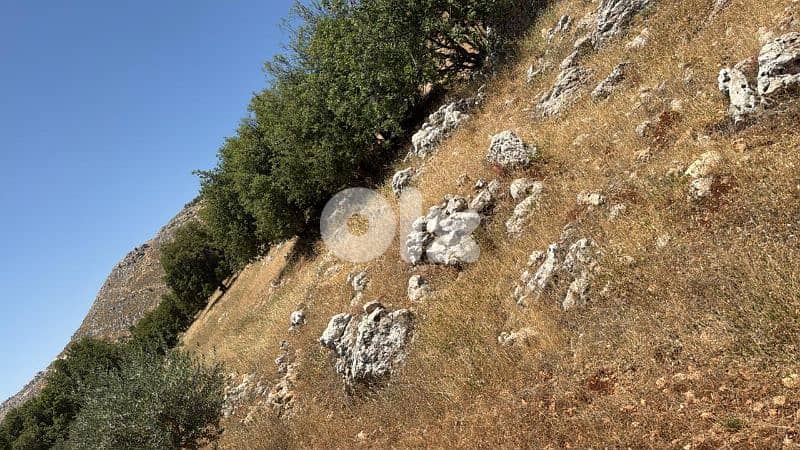 أرض للبيع في راشيا كوكبا land for sale in rashaya kwkaba 3
