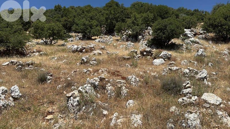 أرض للبيع في راشيا كوكبا land for sale in rashaya kwkaba 4