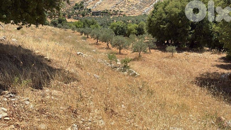 أرض للبيع في راشيا كوكبا land for sale in rashaya kwkaba 2