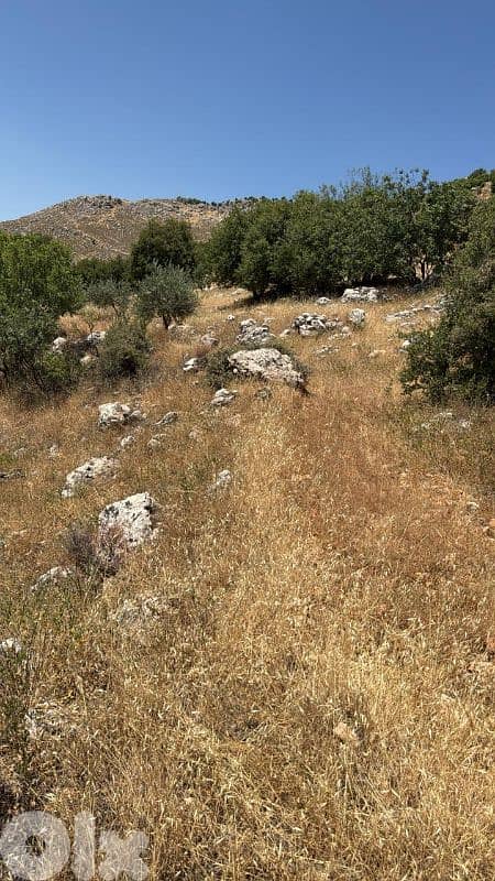 أرض للبيع في راشيا كوكبا land for sale in rashaya kwkaba 5